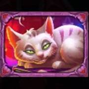 Witch Heart Megaways: Katze