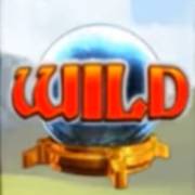 Wizard of Odds: Wild