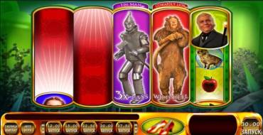 Wizard of Oz – Ruby Slippers: Einzigartige Merkmale