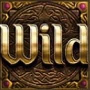 Wizards Want War!: Wild-Symbol