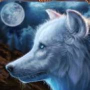 Wolf Canyon: Hold & Win: Weißer Wolf