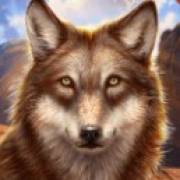 Wolf Canyon: Hold & Win: Grauer Wolf