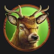 Wolf Strike Hold and Win Extra: Rentier