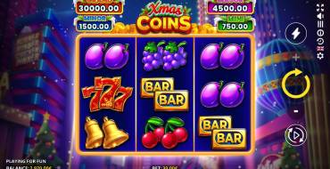 Xmas Coins: Schnittstelle