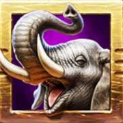 Zulu Gold: Elefant