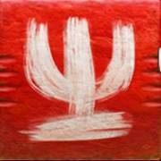 Zulu Gold: Kaktus