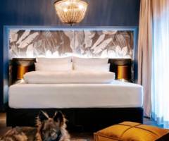 Casino Graz: Bevorzugtes Zimmer