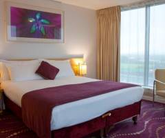 Emerald Casino Clondalkin: Einzeln