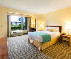 Concorde Casino at Irazu Hotel: Standard-Behindertenzimmer