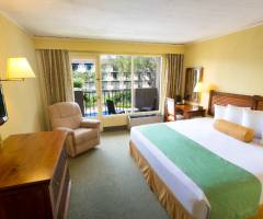 Concorde Casino at Irazu Hotel: Standard Poolblick 1 Kingsize-Bett