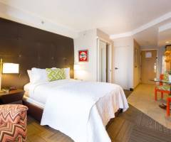 Concorde Casino at Irazu Hotel: Studio Zimmer