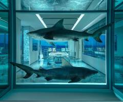 The Palms Casino Resort Las Vegas: Die Empathie-Suite