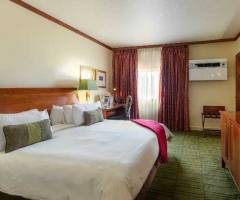 Grand Palm Casino: Junior-Suite