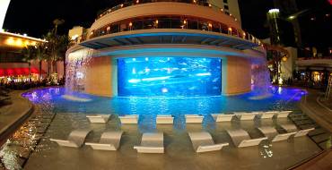 Golden Nugget Hotel & Casino Las Vegas: Der Tank und der HideOut-Pool